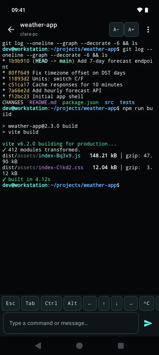 The terminal: git log and a build in full color